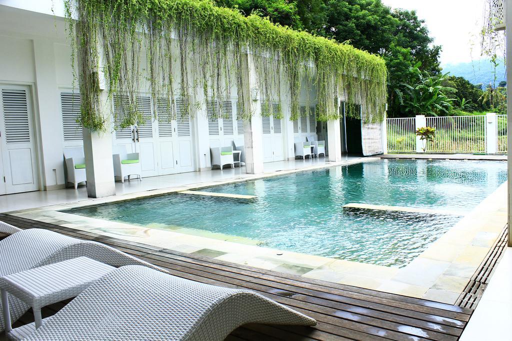 Villa Putih Lovina Kültér fotó